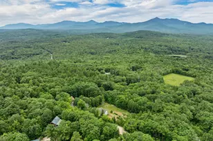 152 George Chick Dr, Madison, NH 03875 - Photo 59