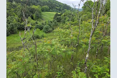 Vt Route 14 South, Randolph, VT 05060 - Photo 11
