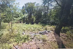 209 Fremont Rd, Sandown, NH 03873 - Photo 1