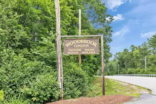 115 Brookside Dr, Fitzwilliam, NH 03447 - Photo 29