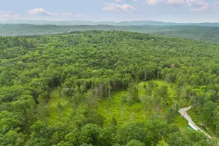 315 Gove Rd, Acworth, NH 03601 - Photo 1