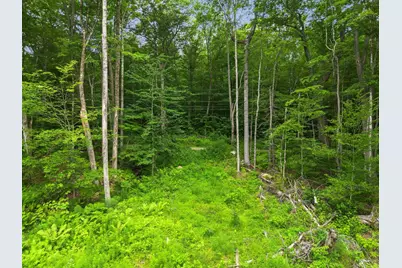 315 Gove Road, Acworth, NH 03601 - Photo 15