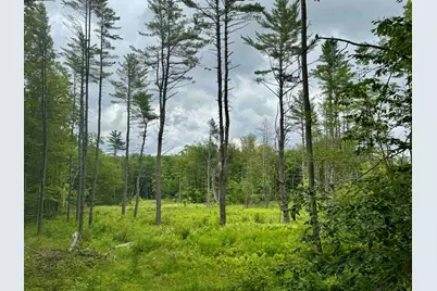 315 Gove Road, Acworth, NH 03601 - Photo 17