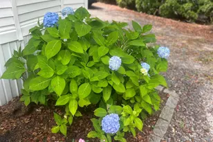 308 Route 286 Rd, Seabrook, NH 03848 - Photo 23