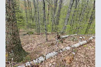 Lot 123 Paulsen Circle, Haverhill, NH 03765 - Photo 3