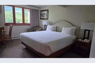 90 Loon Mountain Road #1325D, Lincoln, NH 03251 - Photo 7