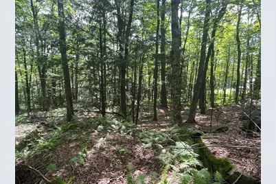 00 Kennedy Brook Drive, Stoddard, NH 03464 - Photo 5
