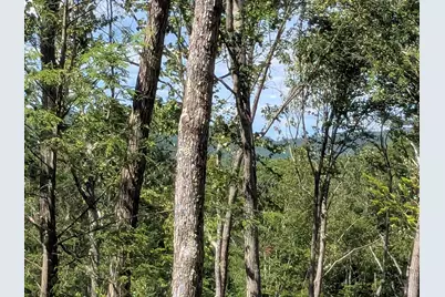 0 Old Hinsdale Road, Winchester, NH 03470 - Photo 9