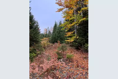 0 Evergreen Drive, Dalton, NH 03598 - Photo 35