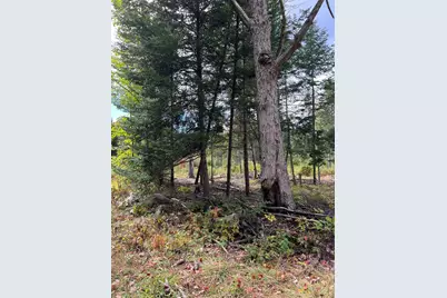 0 Evergreen Drive, Dalton, NH 03598 - Photo 7