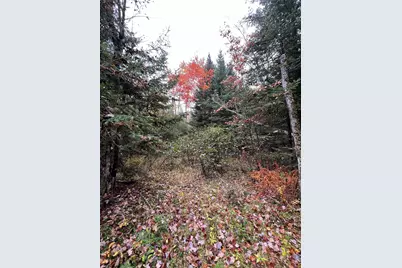0 Evergreen Drive, Dalton, NH 03598 - Photo 33