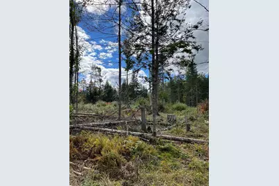 0 Evergreen Drive, Dalton, NH 03598 - Photo 5