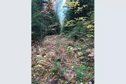 0 Evergreen Drive, Dalton, NH 03598 - Photo 29