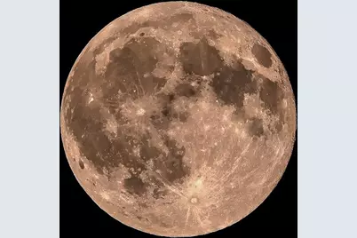 245 North Road, Deerfield, NH 03037 - Photo 5