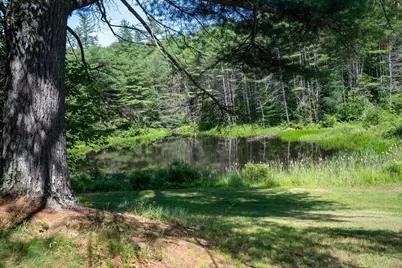 341 Under The Mountain Road, Londonderry, VT 05155 - Photo 23