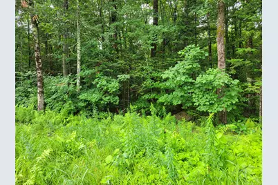 0 Union Hill Road, Stow, ME 04037 - Photo 3