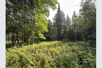 00 Elmore Pond Road, Wolcott, VT 05680 - Photo 7