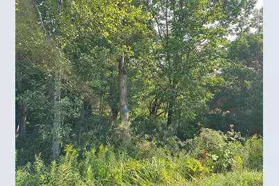 00 Elmore Pond Road, Wolcott, VT 05680 - Photo 3