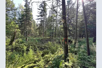 00 Elmore Pond Road, Wolcott, VT 05680 - Photo 9