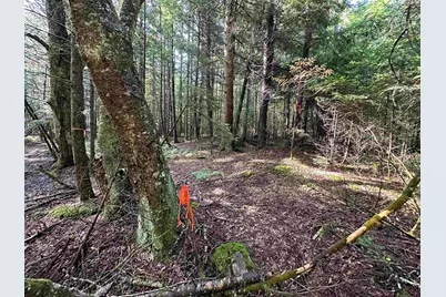 00 Elmore Pond Road, Wolcott, VT 05680 - Photo 5