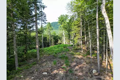 F4 Cave Mountain Drive, Bartlett, NH 03812 - Photo 7