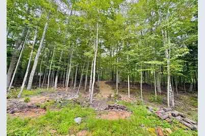 64 High Pond Road, Grantham, NH 03753 - Photo 33