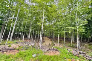 64 High Pond Rd, Grantham, NH 03753 - Photo 33