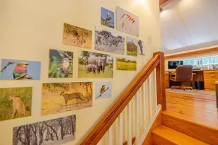 898 Bunker Hill Rd, Tamworth, NH 03883 - Photo 39