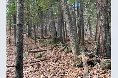 190 Circuit Road, Ossipee, NH 03864 - Photo 19