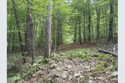 190 Circuit Road, Ossipee, NH 03864 - Photo 5