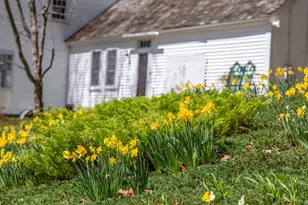 900 Bunker Hill Rd, Tamworth, NH 03883 - Photo 19