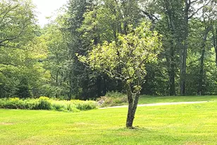 225B Belvedere Rd, Gilsum, NH 03448 - Photo 43