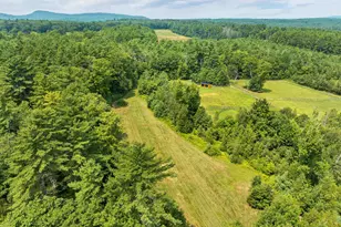 251 Wentworth Rd, Brookfield, NH 03872 - Photo 57