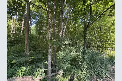 90 Old Swanzey Road, Winchester, NH 03470 - Photo 3