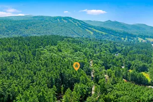 50 Drachenfels Rd, Conway, NH 03860 - Photo 57