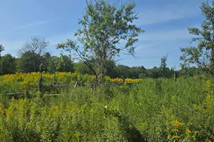 8 Skyline Rd, Unity, NH 03773 - Photo 3