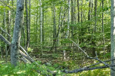 George Road, Hopkinton, NH 03229 - Photo 11