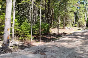 Lot 2 Nh Route 4A, Grafton, NH 03240 - Photo 1