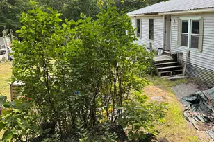 19 Easy Ave, Albany, NH 03818 - Photo 1