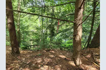 00 Wales Bridge Road, Loudon, NH 03307 - Photo 13