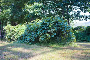 339 Burt Hill Rd, Winchester, NH 03470 - Photo 43