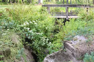 339 Burt Hill Rd, Winchester, NH 03470 - Photo 5