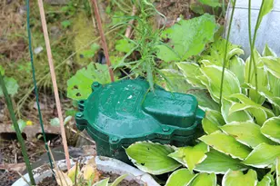 75 Heritage Rd, Stewartstown, NH 03576 - Photo 41