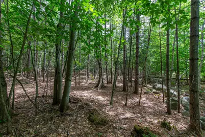 00 Alden Washburn Drive, Tamworth, NH 03817 - Photo 21