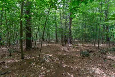 00 Alden Washburn Drive, Tamworth, NH 03817 - Photo 13