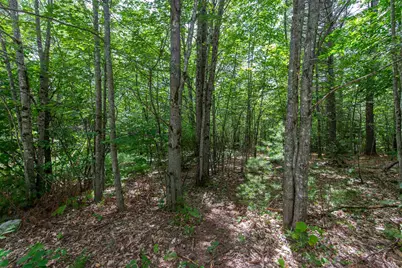 00 Alden Washburn Drive, Tamworth, NH 03817 - Photo 23