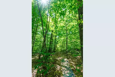 14 Summit Drive, Franconia, NH 03580 - Photo 11