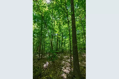 14 Summit Drive, Franconia, NH 03580 - Photo 13