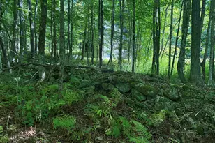 1860 Presidential Hwy, Jefferson, NH 03583 - Photo 13