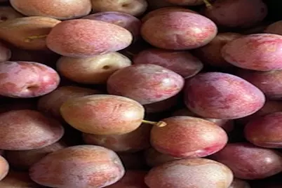 2636 Vt Route 3, Pittsford, VT 05763 - Photo 55